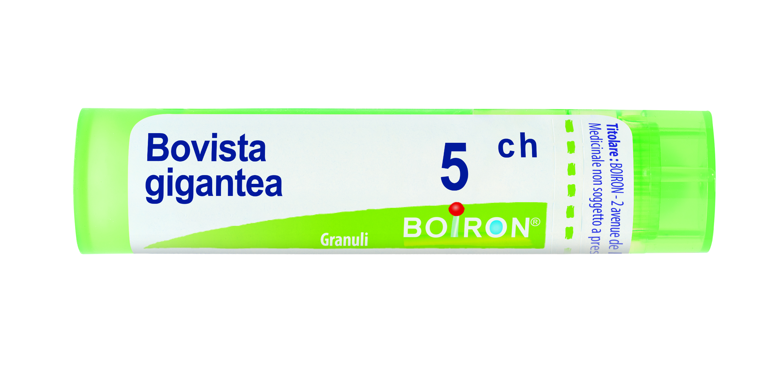 BOVISTA GIGAN BOI*5CH GR 4G - Farmacia Nuova Dr.ssa Gabriella Catellani