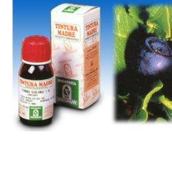 MIRTILLO 31 50ML TM - Farmacia Nuova Dr.ssa Gabriella Catellani