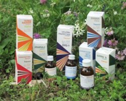 RAEMIL PROPOLI COMPOSTO 15 ML - Farmacia Nuova Dr.ssa Gabriella Catellani