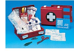 CASSETTA PRONTO SOCCORSO FAMILY PER CAMPEGGIO, BRICOLAGE, CASA E UFFICIO. CONTENITORE IN ABS ANTIURTO CON SUPPORTO PER IL FISSAGGIO ALLA PARETE - Farmacia Nuova Dr.ssa Gabriella Catellani