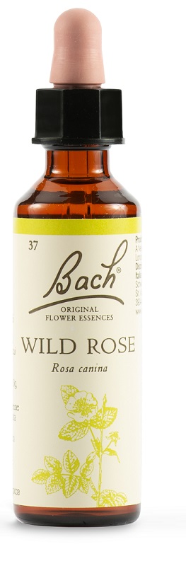 WILD ROSE BACH ORIG 20 ML - Farmacia Nuova Dr.ssa Gabriella Catellani